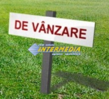 teren-de-vanzare-sard-langa-padure-10000-50000-mp-la-3-euromp