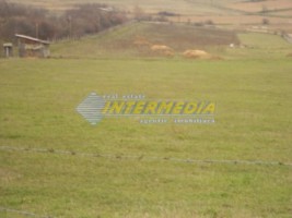 teren-intravilan-sard-1400-mp-judalba