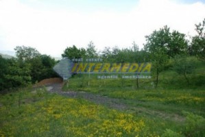 teren-de-vanzare-alba-vintu-de-jos-50000-mp