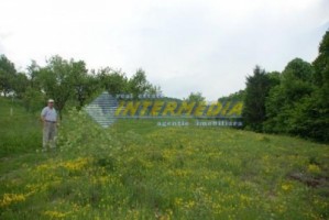teren-de-vanzare-alba-vintu-de-jos-50000-mp-1