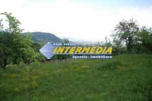 teren-de-vanzare-alba-vintu-de-jos-50000-mp-2