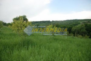 teren-de-vanzare-alba-vintu-de-jos-50000-mp-4