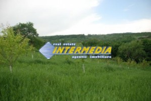 teren-de-vanzare-alba-vintu-de-jos-50000-mp-5