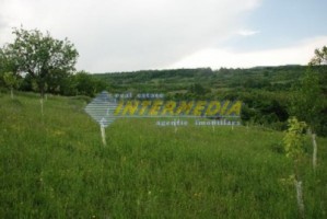 teren-de-vanzare-alba-vintu-de-jos-50000-mp-6