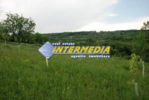 teren-de-vanzare-alba-vintu-de-jos-50000-mp-10