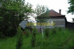 teren-de-vanzare-alba-vintu-de-jos-50000-mp-7
