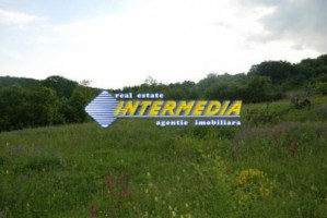 teren-de-vanzare-alba-vintu-de-jos-50000-mp-12