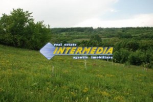 teren-de-vanzare-alba-vintu-de-jos-50000-mp-13