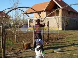 casa-la-rosu-de-vanzare-alba-vintu-de-jos