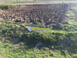 teren-intravilan-de-vanzare-in-sard-judet-alba-1200-mp-1