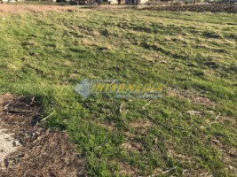 teren-intravilan-de-vanzare-in-sard-judet-alba-1200-mp-2