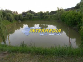 casa-de-vanzare-zona-periferie-cu-iaz-piscicol-7