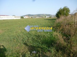 teren-intravilan-11650-mp-barabant