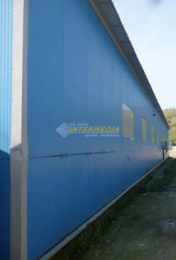 hala-de-vanzare-320-mp-alba-iulia-2200-mp-teren-6