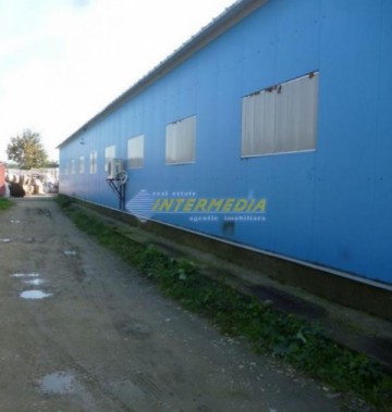 hala-de-vanzare-320-mp-alba-iulia-2200-mp-teren-7