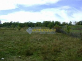 teren-de-vanzare-1000-mp-ampoita-alba