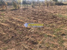 teren-de-vanzare-alba-iulia-cu-utilitati-pe-teren-1