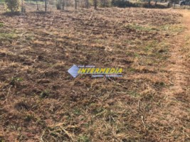 teren-de-vanzare-alba-iulia-cu-utilitati-pe-teren-2