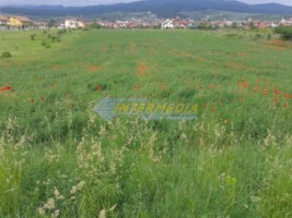 teren-intravilan-4300-mp-de-vanzare-alba-iulia-zona-cetate-1