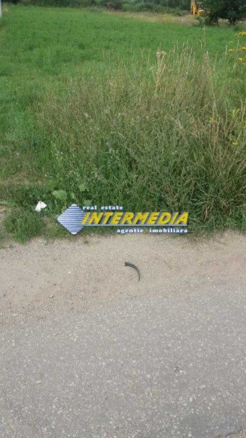 teren-intravilan-de-vanzare-505-mp-alba-micesti