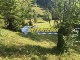teren-extravilan-1941-mp-ideal-pentru-constructie-complex-turistic-1