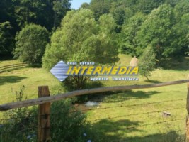 teren-extravilan-1941-mp-ideal-pentru-constructie-complex-turistic-2