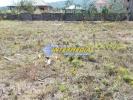 teren-intravilan-1380mp-la-asfalt-zona-alba-micesti