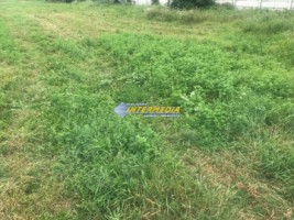 teren-intravilan-in-alba-iulia-cetate-la-asfalt-1
