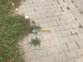 teren-intravilan-in-alba-iulia-cetate-la-asfalt-2