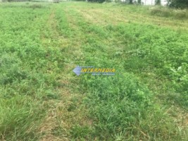 teren-intravilan-in-alba-iulia-cetate-la-asfalt-3