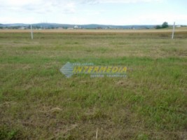 teren-intravilan-alba-micesti-parcele-diverse-1