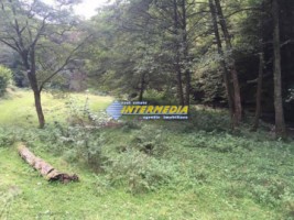 teren-vanzare-zona-strungari-suprafata-2835-mp-3