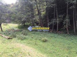 teren-vanzare-zona-strungari-suprafata-2835-mp-2