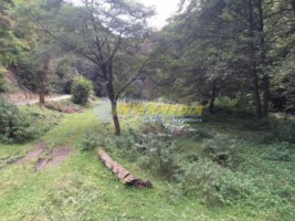 teren-vanzare-zona-strungari-suprafata-2835-mp-4