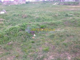teren-intravilan-de-vanzare-micesti-1000-mp-cu-utilitati-in-fata-2