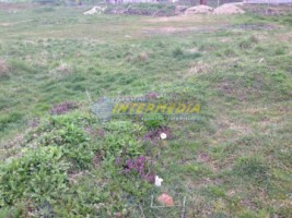teren-intravilan-de-vanzare-micesti-1000-mp-cu-utilitati-in-fata-3