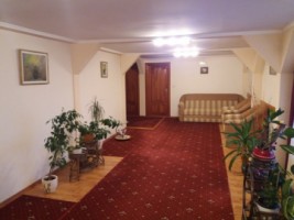 vila-pi-zona-closca-cu-centru-spa-158-ari-garaj-pentru-pretentiosi-5