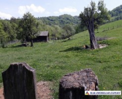 teren-intravilan-2600-mp-de-vanzare-rucar-arges-ideal-pentru-dezvoltari-turistice-sau-rezidentiale-4