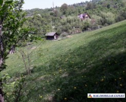 teren-intravilan-2600-mp-de-vanzare-rucar-arges-ideal-pentru-dezvoltari-turistice-sau-rezidentiale-5