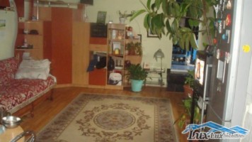 lux-imobiliare-vinde-casa-in-baia-mare-zona-minerilor-367-ari-teren-100-mp-75000-euro-4