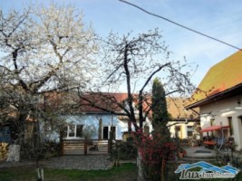 lux-imobiliare-vinde-proprietate-deosebita-in-centrul-istoric-al-orasului-baia-mare-370000-euro-neg-4