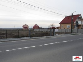teren-intravilan-botiz-3-parcele-la-sosea-id-21397-7