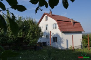 casa-8-km-de-sibiu-de-vanzare-in-daia-noua-1