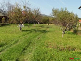 teren-intravilan-cu-livada-de-vanzare-in-zona-tocile