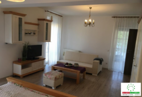 apartament-cu-2-camere-de-inchiriat-zona-calea-dumbravii-5