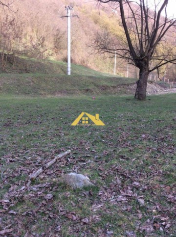 de-vanzare-teren-de-cabana-in-strungari-1