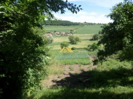 de-vanzare-casa-la-tara-2