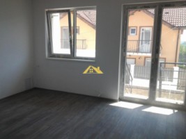 casa-insiruita-de-vanzare-cetate-3