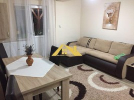 casa-pe-un-nivel-in-cetate-9