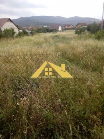 teren-intravilan-de-vanzare-alba-micesti